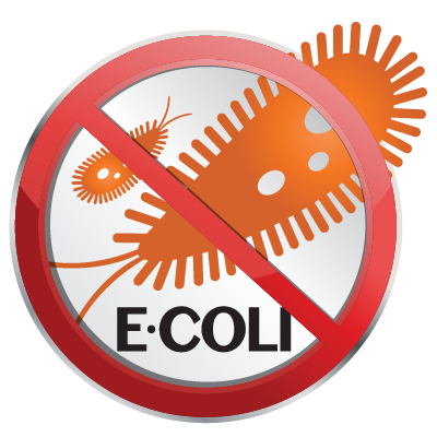 Illustration of a "No E. coli" symbol featuring orange bacteria graphics, emphasizing cleanliness and safety. Nippon Paint offers products that help create hygienic surfaces, reducing the risk of harmful bacteria like E. coli.