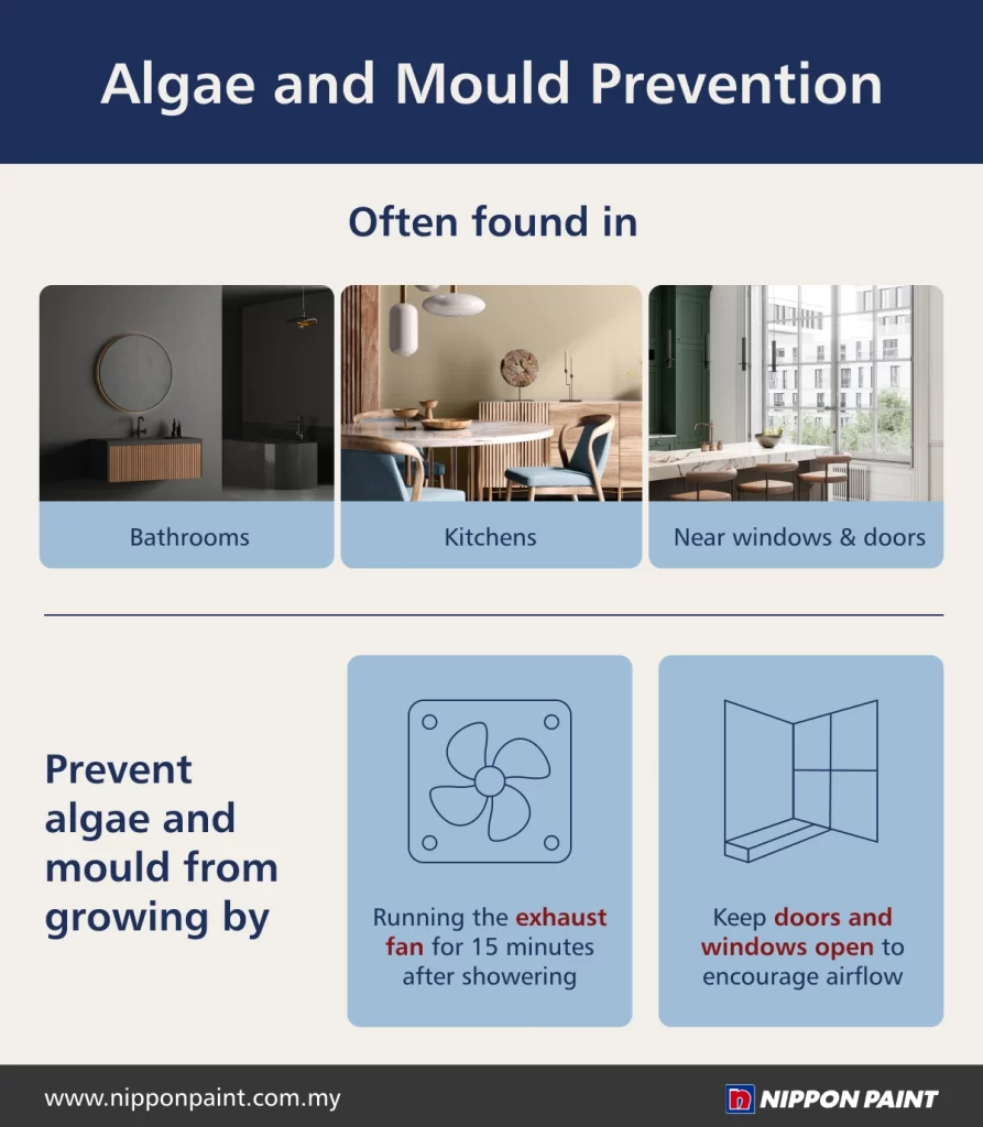 Infographic on algae and mould prevention highlighting common areas like bathrooms, kitchens, and near windows and doors. It includes tips such as running an exhaust fan for 15 minutes after showering and keeping doors and windows open to improve airflow, featuring Nippon Paint branding.