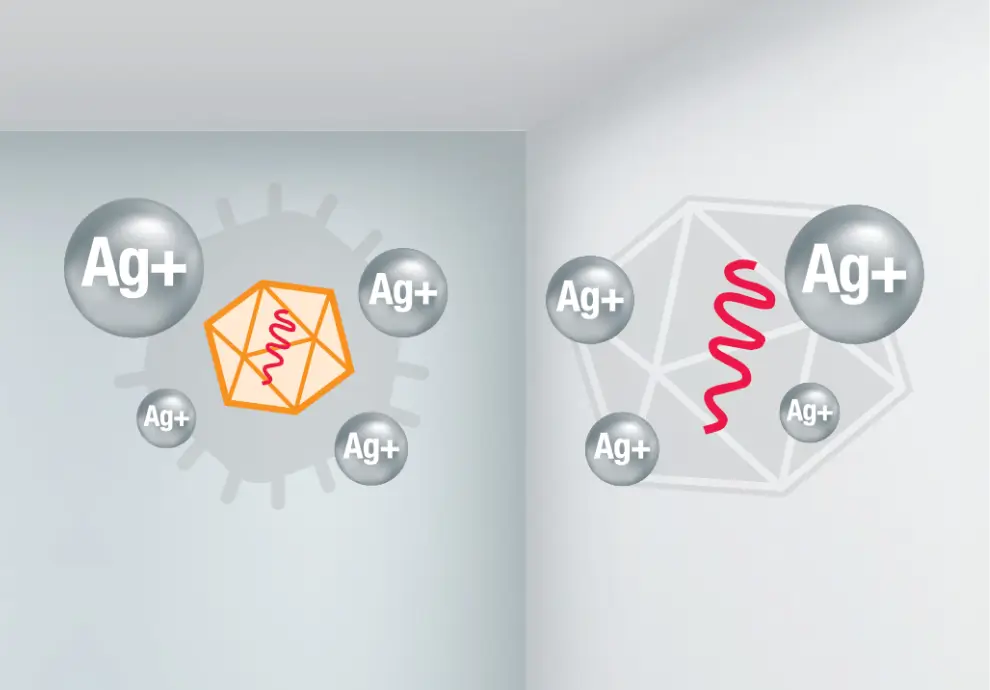 Illustration demonstrating the antibacterial properties of Nippon Paint products featuring silver ions (Ag+) and their effectiveness in creating a cleaner environment.