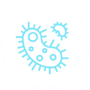 Illustration of bacteria in light blue, symbolizing the importance of hygiene. Nippon Paint products help create cleaner, healthier environments by reducing microbial growth on surfaces.
